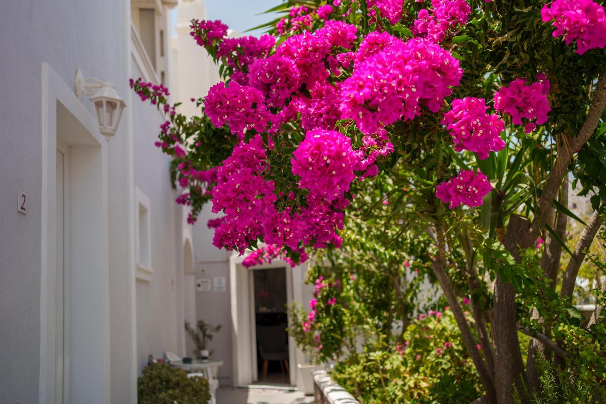 Wisteria Apartments Karterados  Exterior foto